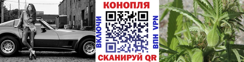 как найти наркотики  Аткарск  Марихуана SATIVA & INDICA 